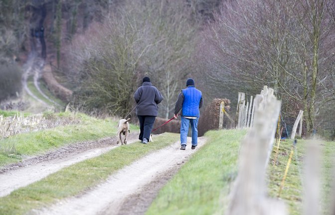 Ist ein Spaziergang in Ordnung?<span class='image-autor'>Foto: CatherineLProd / shutterstock.com</span>