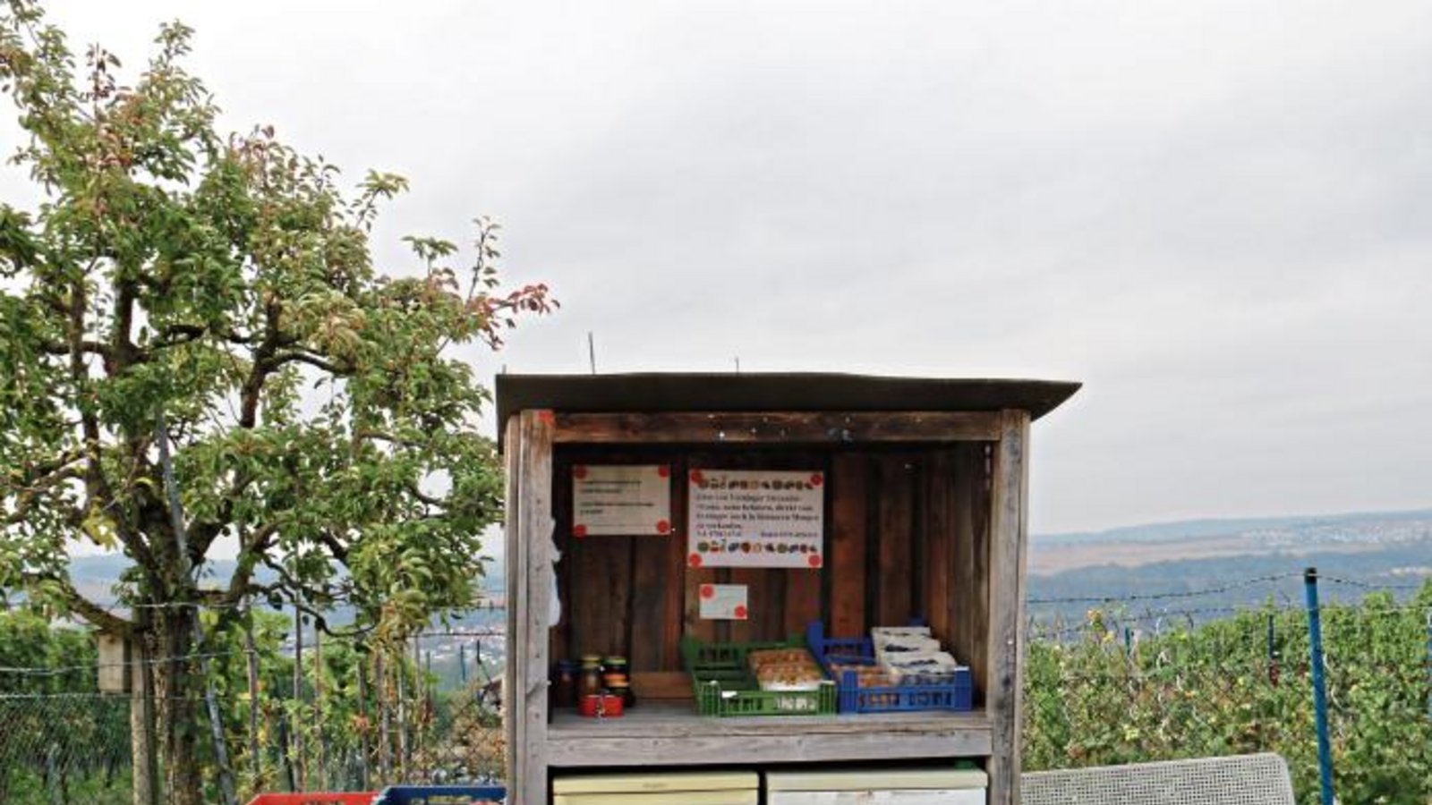 Entdeckung hoch über Vaihingen: frische Sachen und ein Bänkle.  Foto: Rücker
