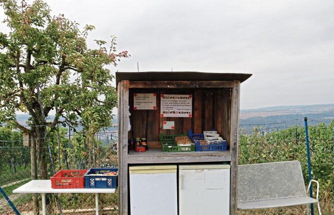 Entdeckung hoch über Vaihingen: frische Sachen und ein Bänkle.  Foto: Rücker