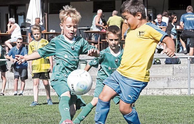 Der TSV Hochdorf (grüne Trikots) ist unter anderem mit einer Bambinimannschaft beim Sportfest des SV Iptingen aufgelaufen. Foto: Simecek