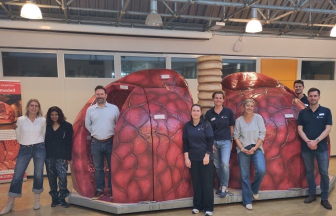 lungenmodell foto ll