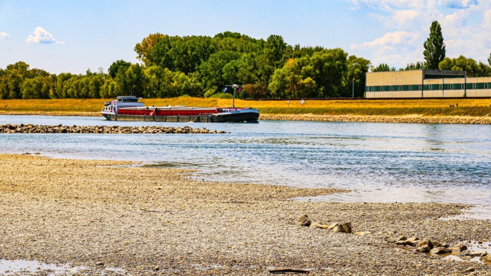 Durch das extreme Niedrigwasser liegen im Bereich des Pegels Maxau Steine im Flussbett des Rheins trocken, während im Hintergrund ein Binnenschiff vorbeifährt.Thomas Riedel/dpa Durch das extreme Niedrigwasser liegen im Bereich des Pegels Maxau Steine im Flussbett des Rheins trocken, während im Hintergrund ein Binnenschiff vorbeifährt.Thomas Riedel/dpa