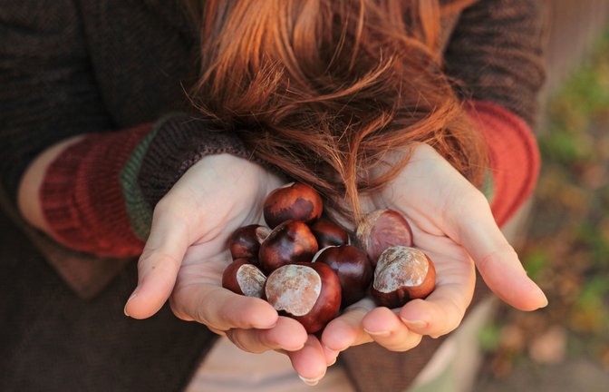 Eine Handvoll ist ein guter Maßstab.<span class='image-autor'>Foto: Katsiaryna Yudo / shutterstock.com</span>