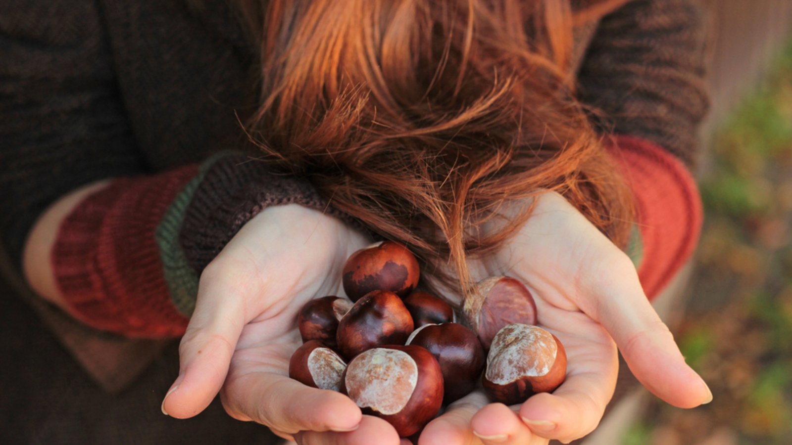 Eine Handvoll ist ein guter Maßstab.Foto: Katsiaryna Yudo / shutterstock.com