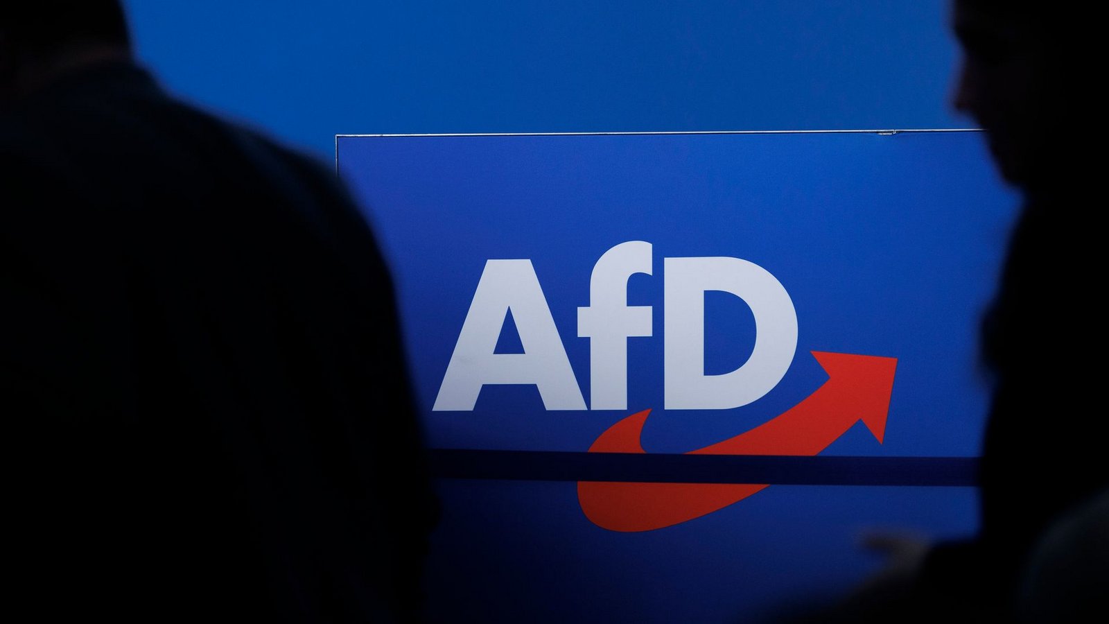 Die AfD erreicht auch im ZDF-"Politbarometer" einen Höchstwert. (Symbolbild)Foto: Carsten Koall/dpa