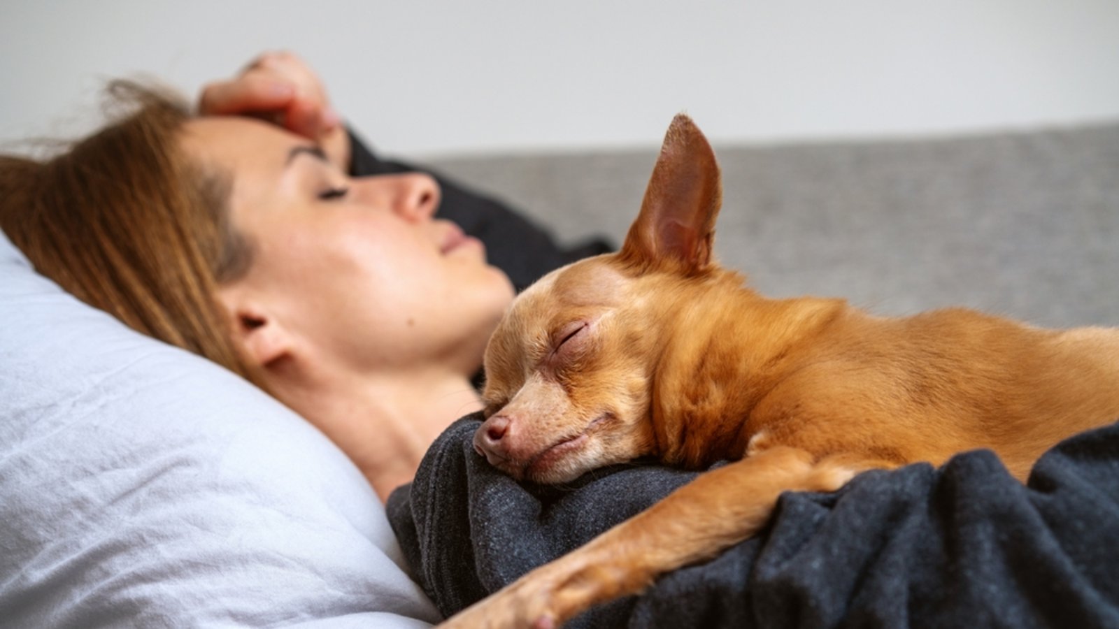 Kuschler: Der Hund zeigt seine eigene Verbindung und sein Vertrauen.Foto: Barillo_Images/ Shutterstock