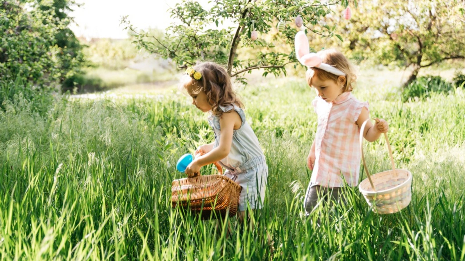 Die Ostereiersuche ist eine beliebte Tradition, die das Ende der Fastenzeit markiert. Erfahren Sie, wie Familien Ostern feiern und wann die Eier traditionell gesucht werden.Foto: Serenko Natalia / Shutterstock.com Die Ostereiersuche ist eine beliebte Tradition, die das Ende der Fastenzeit markiert. Erfahren Sie, wie Familien Ostern feiern und wann die Eier traditionell gesucht werden.Foto: Serenko Natalia / Shutterstock.com