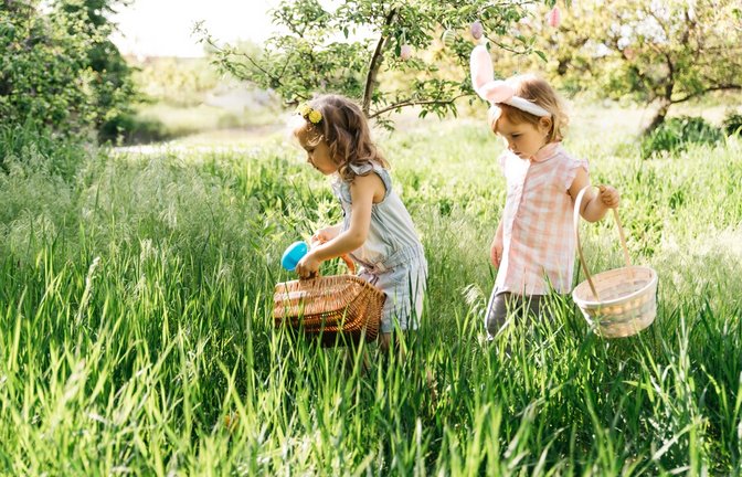 Die Ostereiersuche ist eine beliebte Tradition, die das Ende der Fastenzeit markiert. Erfahren Sie, wie Familien Ostern feiern und wann die Eier traditionell gesucht werden.<span class='image-autor'>Foto: Serenko Natalia / Shutterstock.com</span>