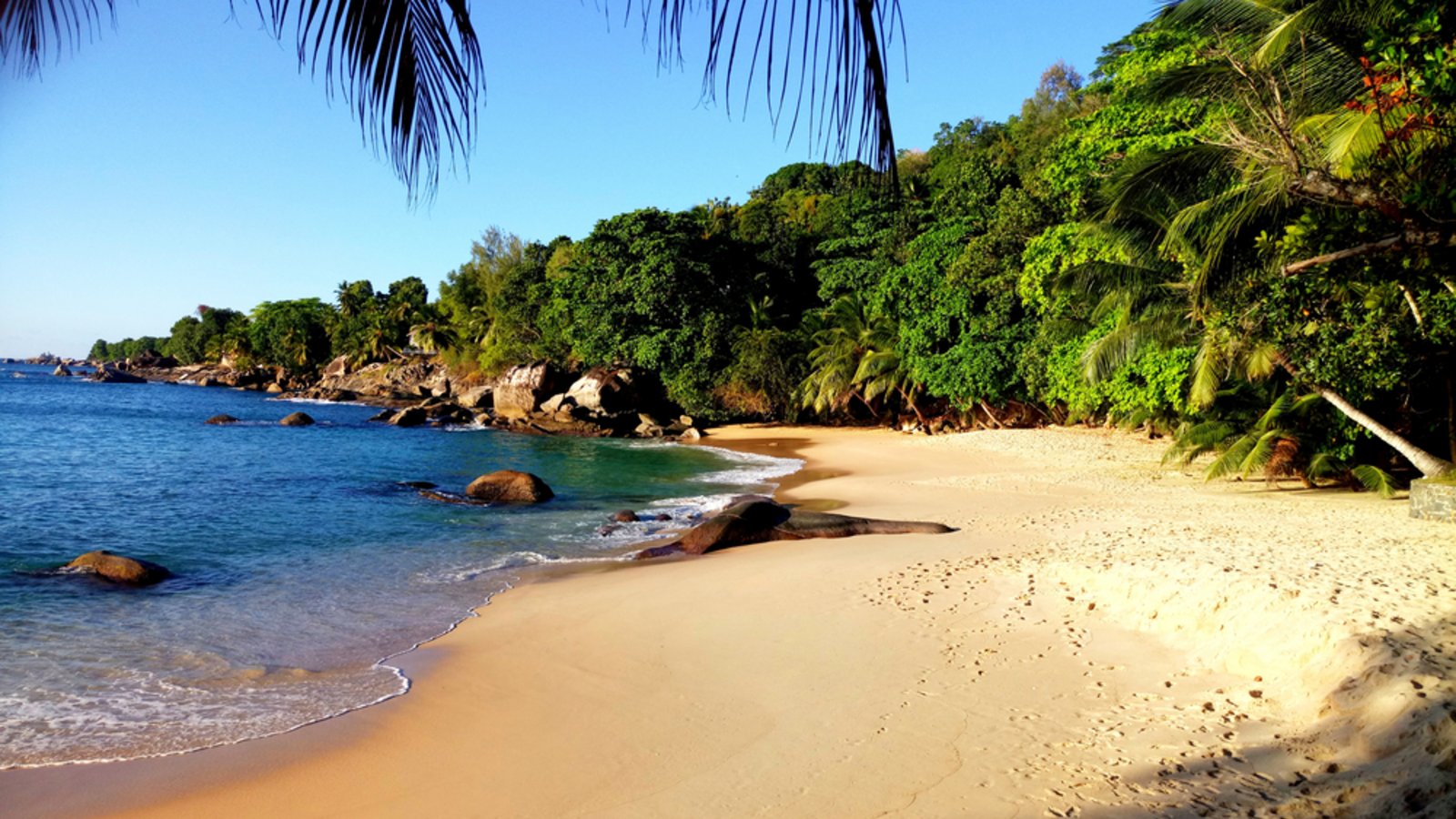 Urlaub statt Survival: Das ist auf der Insel auch möglich.Foto: sanya51 / shutterstock.comUrla Urlaub statt Survival: Das ist auf der Insel auch möglich.Foto: sanya51 / shutterstock.comUrla