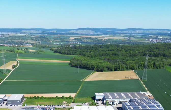 Bis im Pulverdinger Holz zwischen Enzweihingen und Hochdorf Windkraftanlagen stehen, wird es wohl noch etwas dauern. Archivfoto: VKZ/Küppers