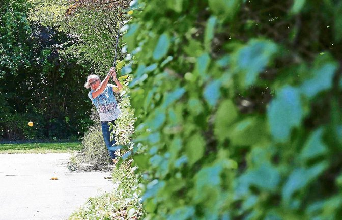 Das etwas andere Grün: Beim Crossgolf muss der Spieler auch mal um einen Busch schauen, um das anvisierte Ziel zu treffen.  Fotos: Baumann