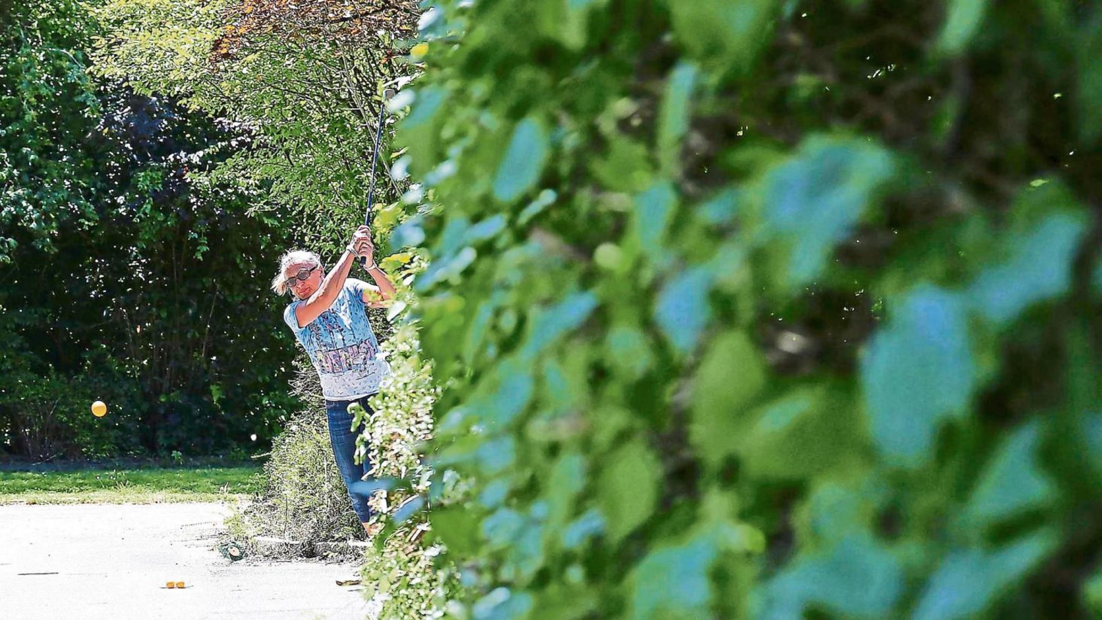 Das etwas andere Grün: Beim Crossgolf muss der Spieler auch mal um einen Busch schauen, um das anvisierte Ziel zu treffen. Fotos: Baumann Das etwas andere Grün: Beim Crossgolf muss der Spieler auch mal um einen Busch schauen, um das anvisierte Ziel zu treffen. Fotos: Baumann