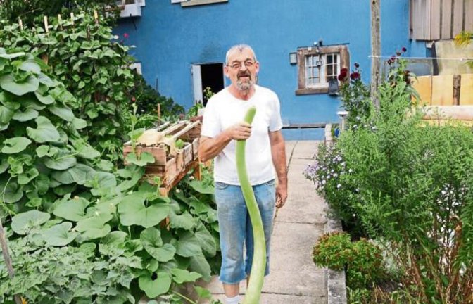 „Mein Schwiegervater, der begeisterter Hobbygärtner ist, hat vor kurzem eine 140 Zentimeter lange sizilianische Baumzucchini geerntet“, schreibt uns Andrea Knotik aus Riet.