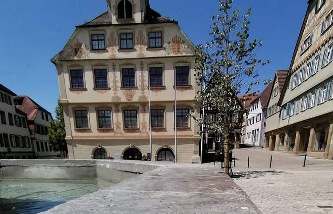 Im Vaihinger Rathaus ist Sparen angesagt.  <span class='image-autor'>Foto: Banholzer</span>
