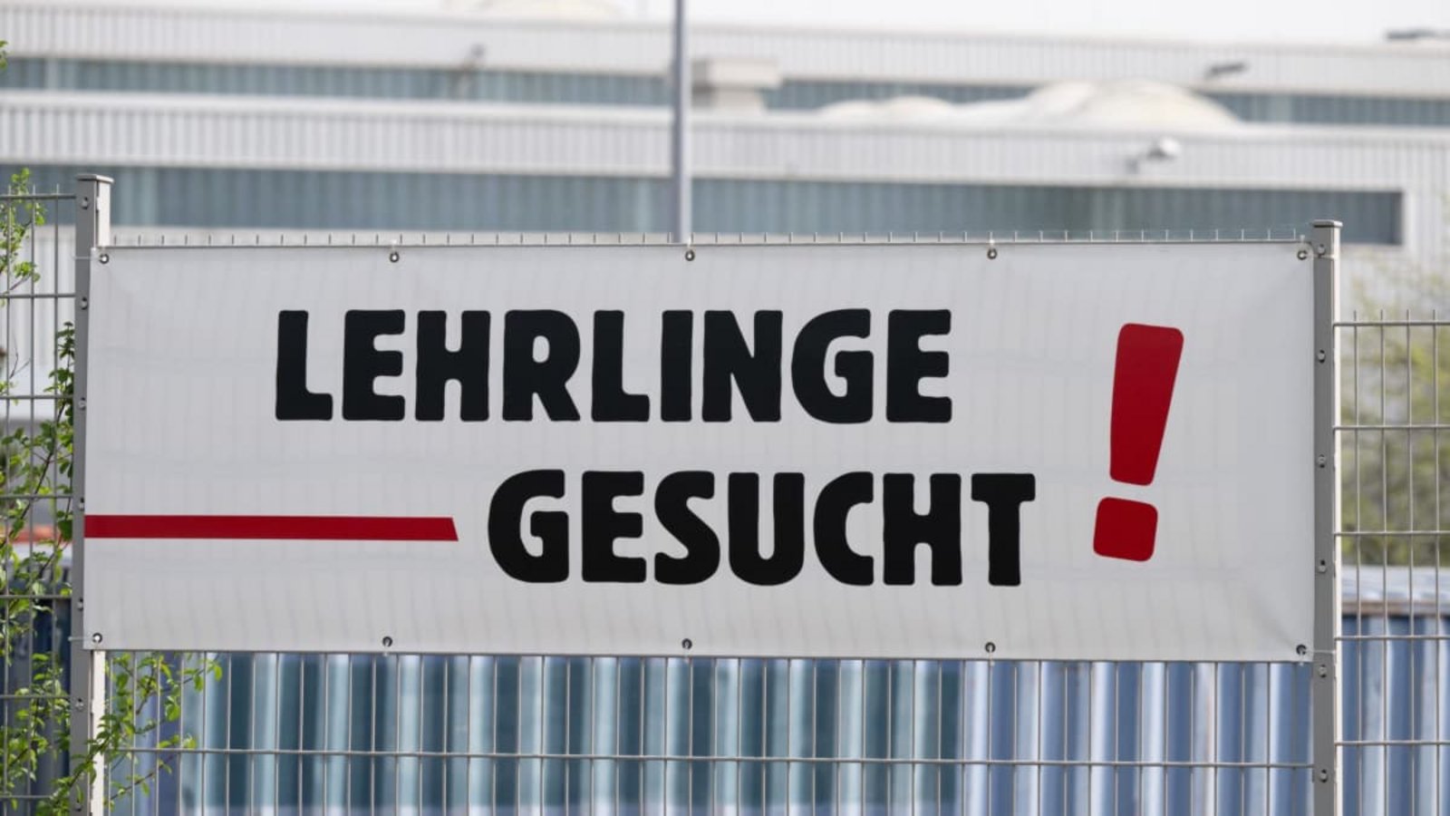 Am Ausbildungsmarkt verstärkt sich ein großer Widerspruch: Die Wirtschaft streicht in großem Umfang Ausbildungsstellen - dennoch werden Lehrlinge von vielen Betrieben dringend gesucht.Sebastian Kahnert/dpa