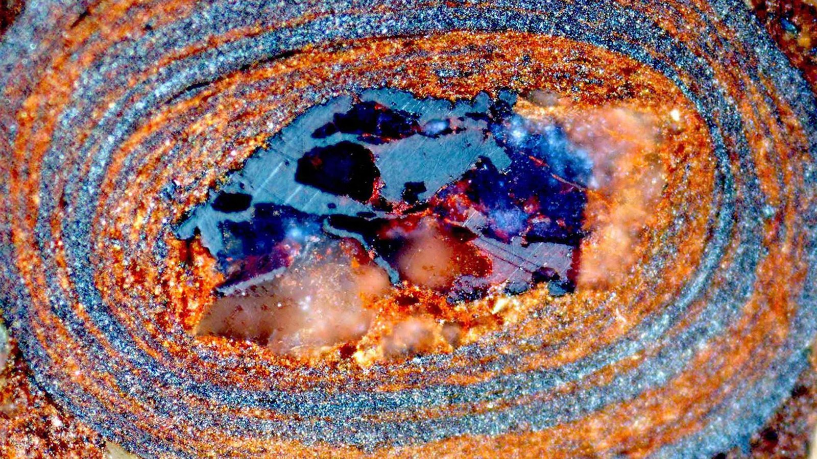 Querschnitt durch ein eiförmiges Eisenoxid-Steinchen: Wie in einer Zeitkapsel sind darin Information über den Gehalt von organischem Kohlenstoff des Meeres vor Jahrmillionen gespeichert.  Foto: Nir Galili/ETH Zürich Querschnitt durch ein eiförmiges Eisenoxid-Steinchen: Wie in einer Zeitkapsel sind darin Information über den Gehalt von organischem Kohlenstoff des Meeres vor Jahrmillionen gespeichert.  Foto: Nir Galili/ETH Zürich