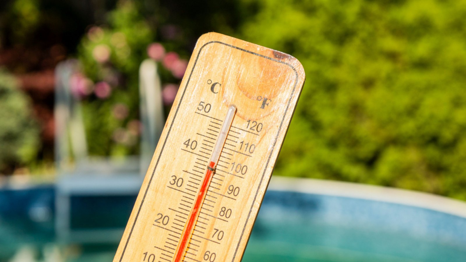An die 40 Grad werden diese Woche wohl erreicht.Foto: Matyas Rehak / shutterstock.com