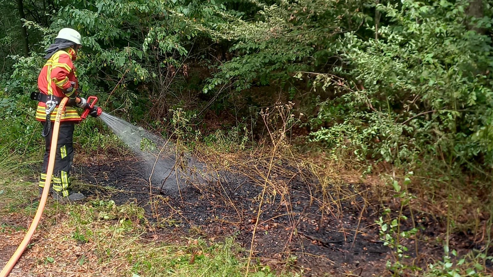Bei der Arbeit: Die Feuerwehr löscht das Feuer im Plattenwald. Foto: Feuerwehr Wiernsheim Bei der Arbeit: Die Feuerwehr löscht das Feuer im Plattenwald. Foto: Feuerwehr Wiernsheim