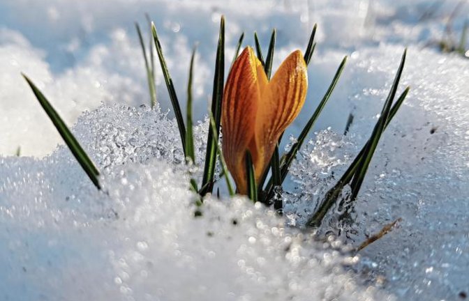 „Bald geschafft, der Frühling lässt grüßen“, schreibt Martin Janson aus Enzweihingen.
