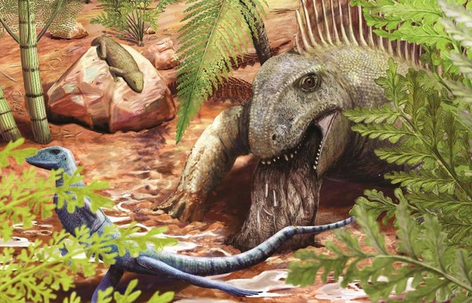 Vor 290 Millionen Jahre würgte ein urzeitliches Raubtier wie der Dimetrodon Reste seiner Beute wieder aus. Sie blieben als Fossil erhalten.<span class='image-autor'>Foto: © Sophie Fernandez</span>
