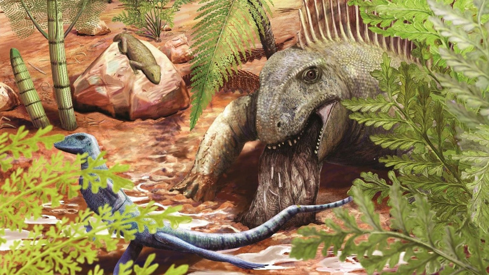 Vor 290 Millionen Jahre würgte ein urzeitliches Raubtier wie der Dimetrodon Reste seiner Beute wieder aus. Sie blieben als Fossil erhalten.Foto: © Sophie Fernandez Vor 290 Millionen Jahre würgte ein urzeitliches Raubtier wie der Dimetrodon Reste seiner Beute wieder aus. Sie blieben als Fossil erhalten.Foto: © Sophie Fernandez