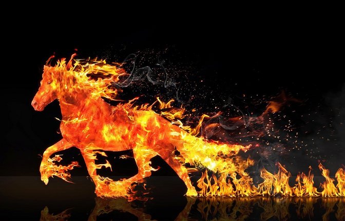 Das „Feuerpferd“ oder „Feuer-Pferd“ ist in China das Symbol des Jahres 2026.<span class='image-autor'>Foto: pixabay</span>