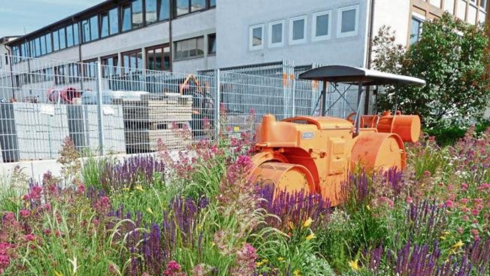 Die Vaihinger Stadtgärtner haben ein Händchen für attraktive Arrangements entwickelt. Die Straßenwalze beim Bauhof macht bestimmt nichts platt. Foto: Arning Die Vaihinger Stadtgärtner haben ein Händchen für attraktive Arrangements entwickelt. Die Straßenwalze beim Bauhof macht bestimmt nichts platt. Foto: Arning
