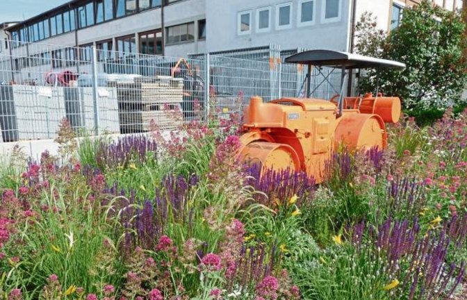 Die Vaihinger Stadtgärtner haben ein Händchen für attraktive Arrangements entwickelt. Die Straßenwalze beim Bauhof macht bestimmt nichts platt. Foto: Arning