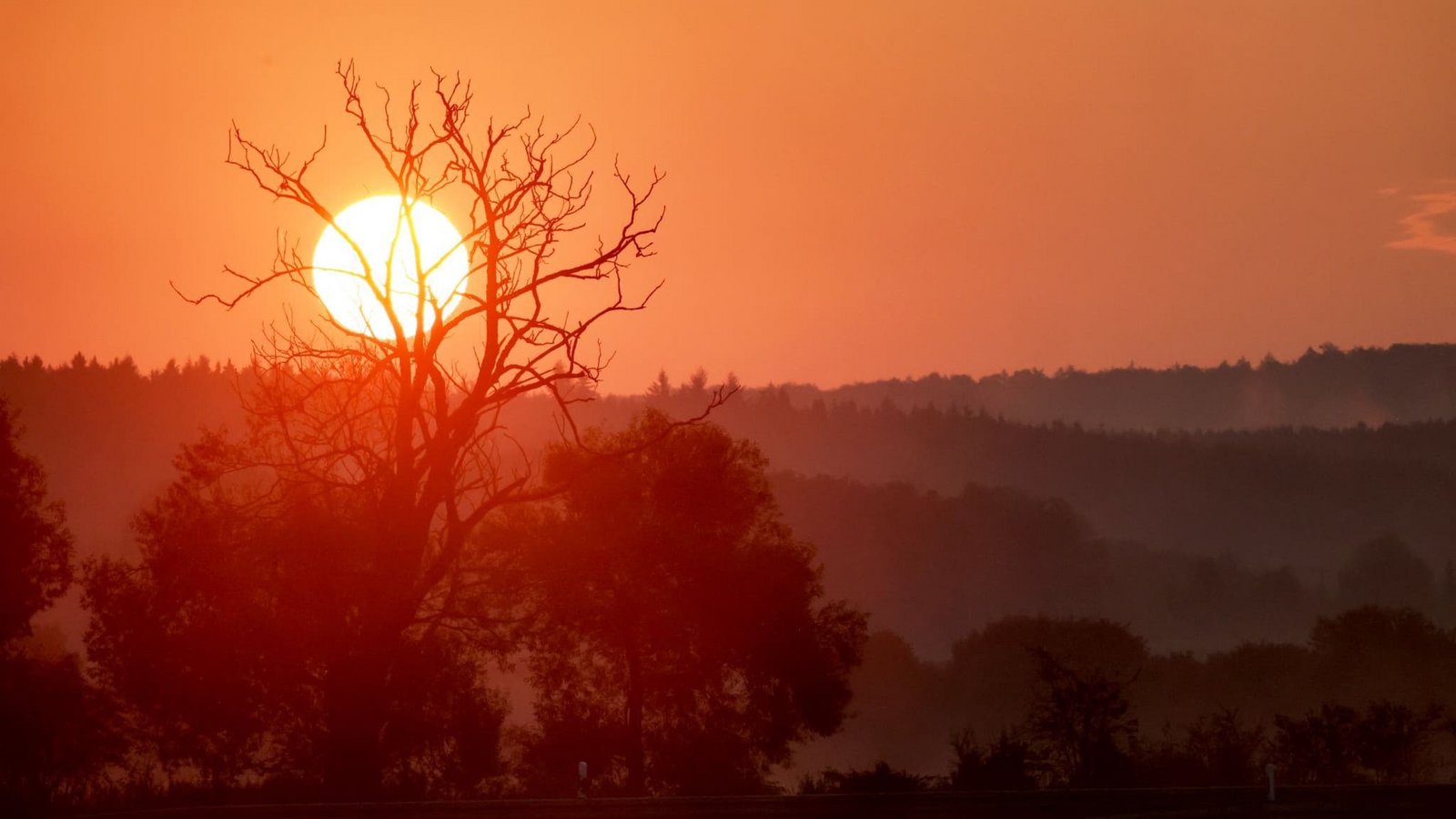 Die aufgehende Sonne färbt den Himmel am Morgen rot. (zu dpa: «Sommer kehrt zurück – Sonne vertreibt Gewitter im Südwesten»)Thomas Warnack/dpa Die aufgehende Sonne färbt den Himmel am Morgen rot. (zu dpa: «Sommer kehrt zurück – Sonne vertreibt Gewitter im Südwesten»)Thomas Warnack/dpa
