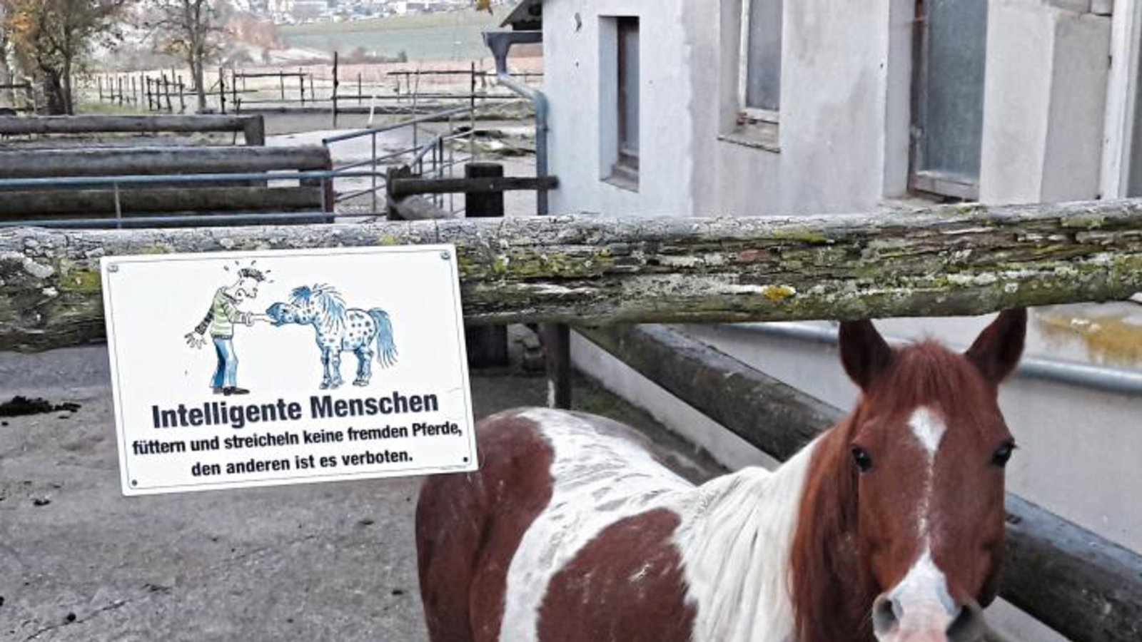 Aber ansprechen ist erlaubt, oder? Foto: Rücker