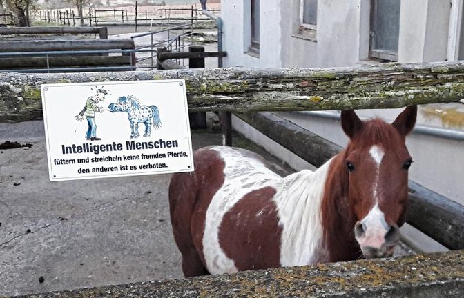 Aber ansprechen ist erlaubt, oder? Foto: Rücker