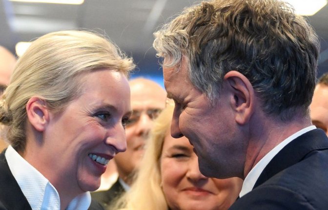 Alice Weidel, Bundesvorsitzende  der AfD, und Björn Höcke (AfD-Landesvorsitzender in Thüringen) werden in dem Gutachten ausdrücklich erwähnt (Archivbild).<span class='image-autor'>Foto: Sören Stache/dpa</span>