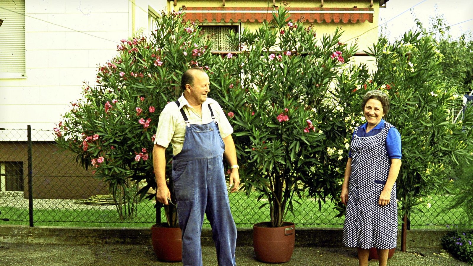 Josef und Maria in ihrem Garten, den sie pflegten bis zuletztFoto: privat/Manz Josef und Maria in ihrem Garten, den sie pflegten bis zuletztFoto: privat/Manz