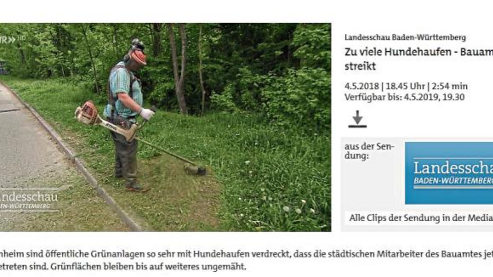 Mit dem Thema Hundekot schaffte es Sachsenheim kürzlich in die Landesschau. Screenshot: sr Mit dem Thema Hundekot schaffte es Sachsenheim kürzlich in die Landesschau. Screenshot: sr