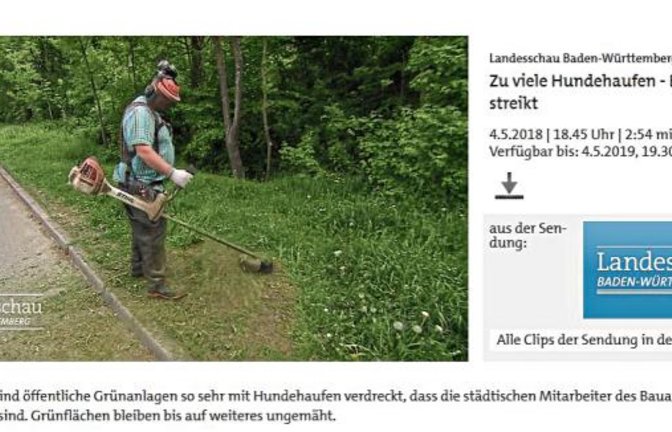 Mit dem Thema Hundekot schaffte es Sachsenheim kürzlich in die Landesschau.  Screenshot: sr