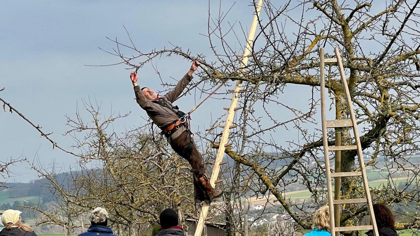 Mit eleganter Akrobatik gelang es Baumpfleger Richard Stahn, die verschiedensten Schnitttechniken zu präsentieren. Foto: p Mit eleganter Akrobatik gelang es Baumpfleger Richard Stahn, die verschiedensten Schnitttechniken zu präsentieren. Foto: p