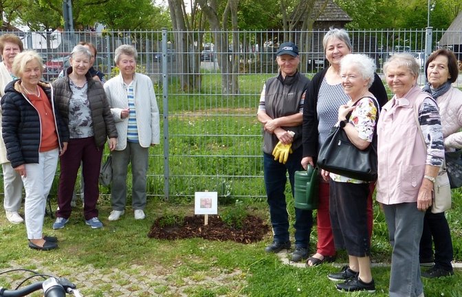 Zum 75-jährigen Bestehen des Kreislandfrauenverbandes Ludwigsburg wurde eine neue Rosenzüchtung von Rosen Tantau zur „Landfrauenrose“ getauft. Der Landfrauenverein Hochdorf hat sechs dieser Jubiläumsrosen erworben und jetzt jeweils zwei Stück an drei Stellen in Hochdorf ausgepflanzt und eine Hinweistafel angebracht. Die Jubiläumsrosen befinden sich am Eingang zum Keltenmuseum, am Kreuz des Ehrenmals auf dem Friedhof und im Innenhof des Seniorenzentrums „Haus im Schlösslesgarten“. Die Vorsitzende Ulrike Marquardt-Dietz und die Beisitzerin Iris Berndt wurden dabei von einigen Mitgliedern des Vereins begleitet.  p
