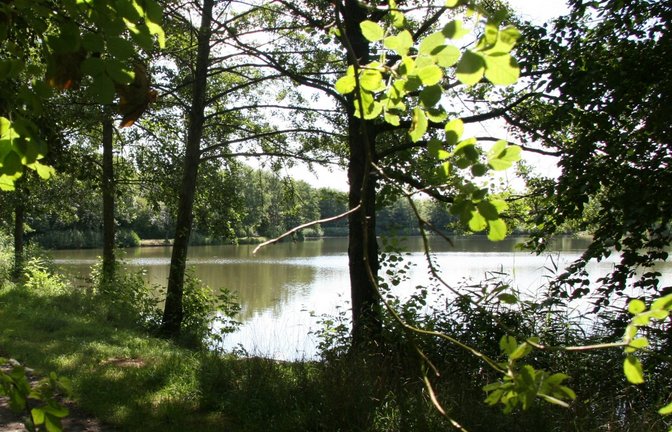 Der Uferbereich ist noch nicht genügend befestigt und der Wasserstand muss sich langsam regulieren. (pv) Archivfoto: VKZ/sr