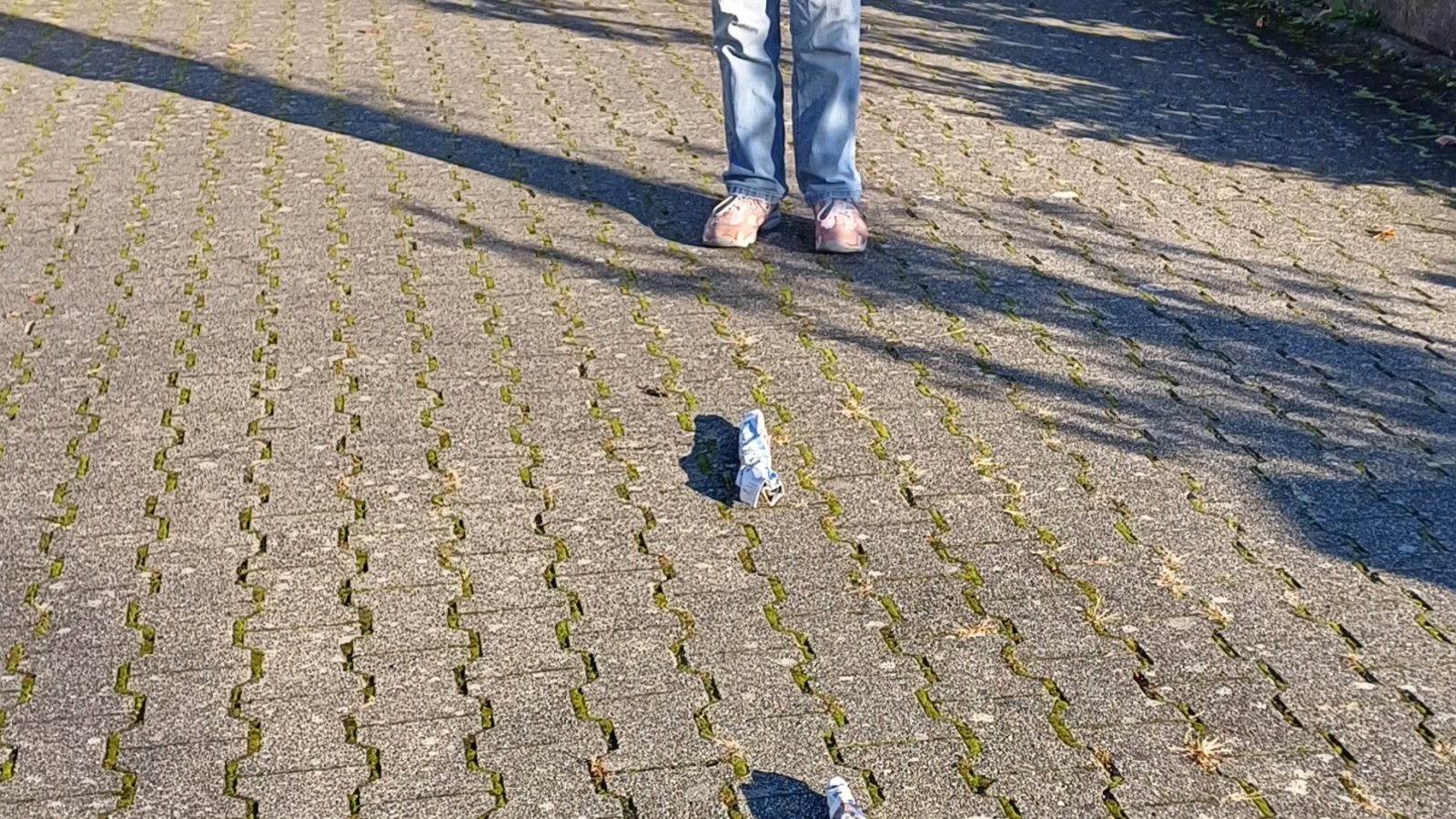 Gewusst wie: Bei der Altpapiersammlung in Aurich wies die gerollte VKZ im Hof von Inge Theis den Weg zu mehr Mitnahme-Papier – und ein paar Süßigkeiten für die fleißigen Sammler habe sie dort auch deponiert, verriet die Auricherin.  Foto: Rücker