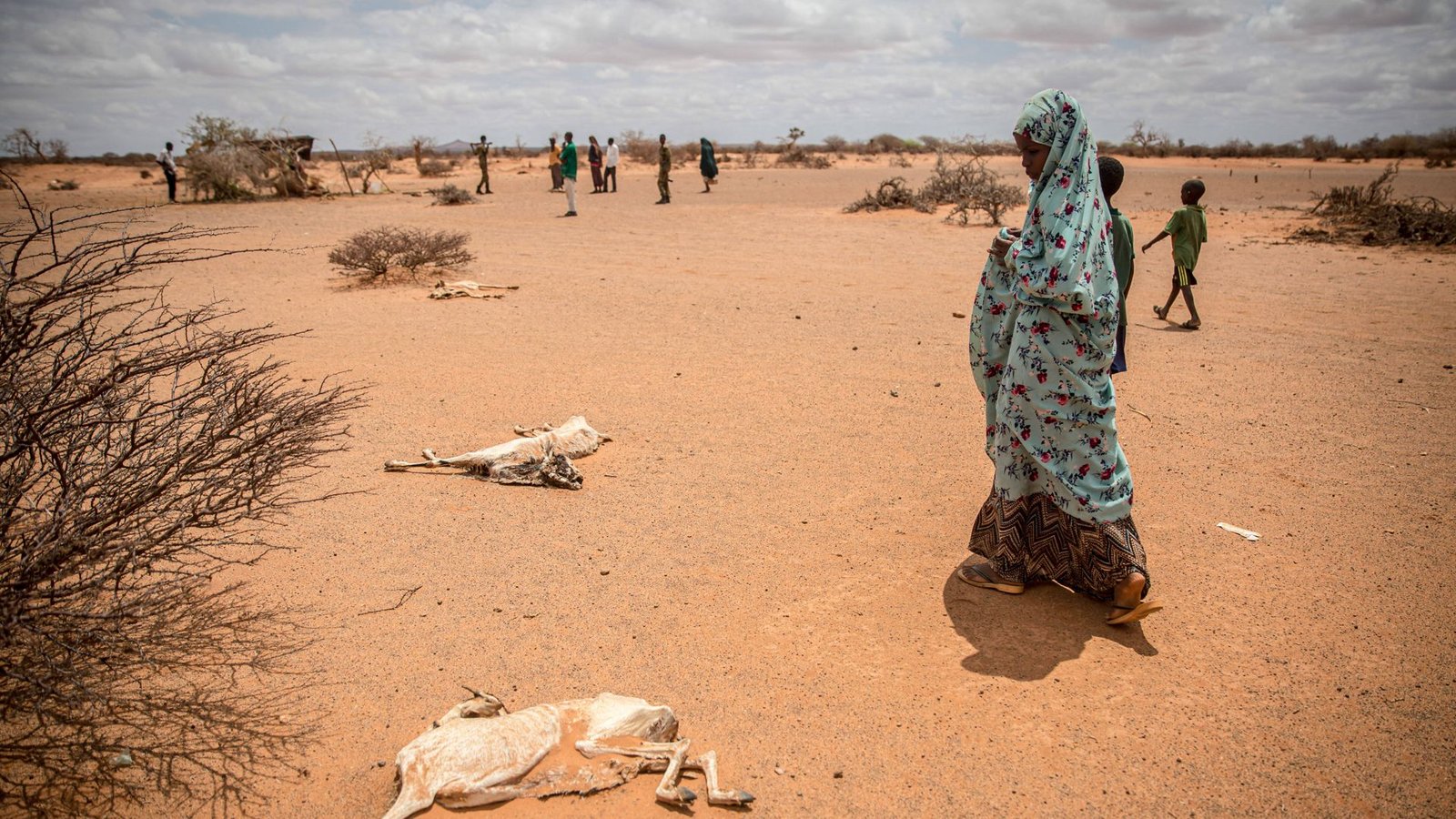 Dürre in Afrika: Der Klimawandel macht sich in vielen Regionen der Welt bemerkbar.Foto: imago//Sally Hayden Dürre in Afrika: Der Klimawandel macht sich in vielen Regionen der Welt bemerkbar.Foto: imago//Sally Hayden