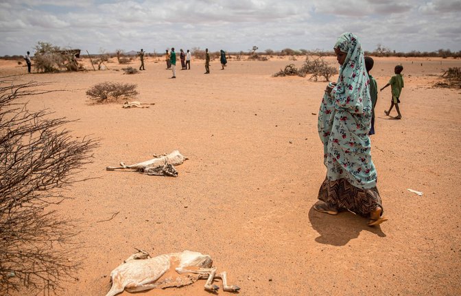 Dürre in Afrika: Der Klimawandel macht sich in vielen Regionen der Welt bemerkbar.<span class='image-autor'>Foto: imago//Sally Hayden</span>