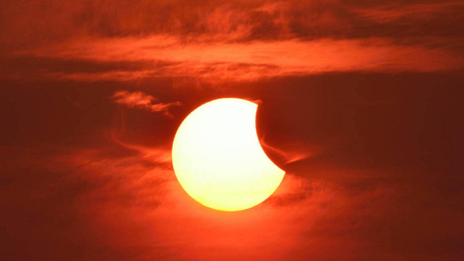 Foto: Warachai Krengwirat/ Shutterstock.com