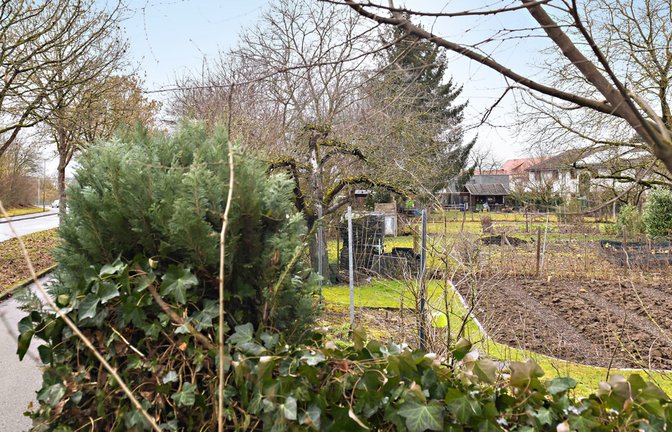 Auf diesem Gartengelände in Weilimdorf soll ein Altenpflegeheim entstehen. Ob es kommt, ist offen.<span class='image-autor'>Foto: Lichtgut/Max Kovalenko</span>