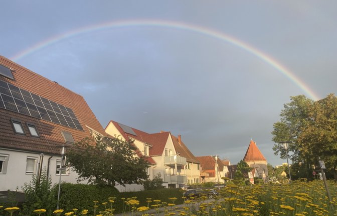 Ein besonderer Schnappschuss ist Jochen Nigge am Sonntagabend in den Vaihinger Köpfwiesen gelungen.