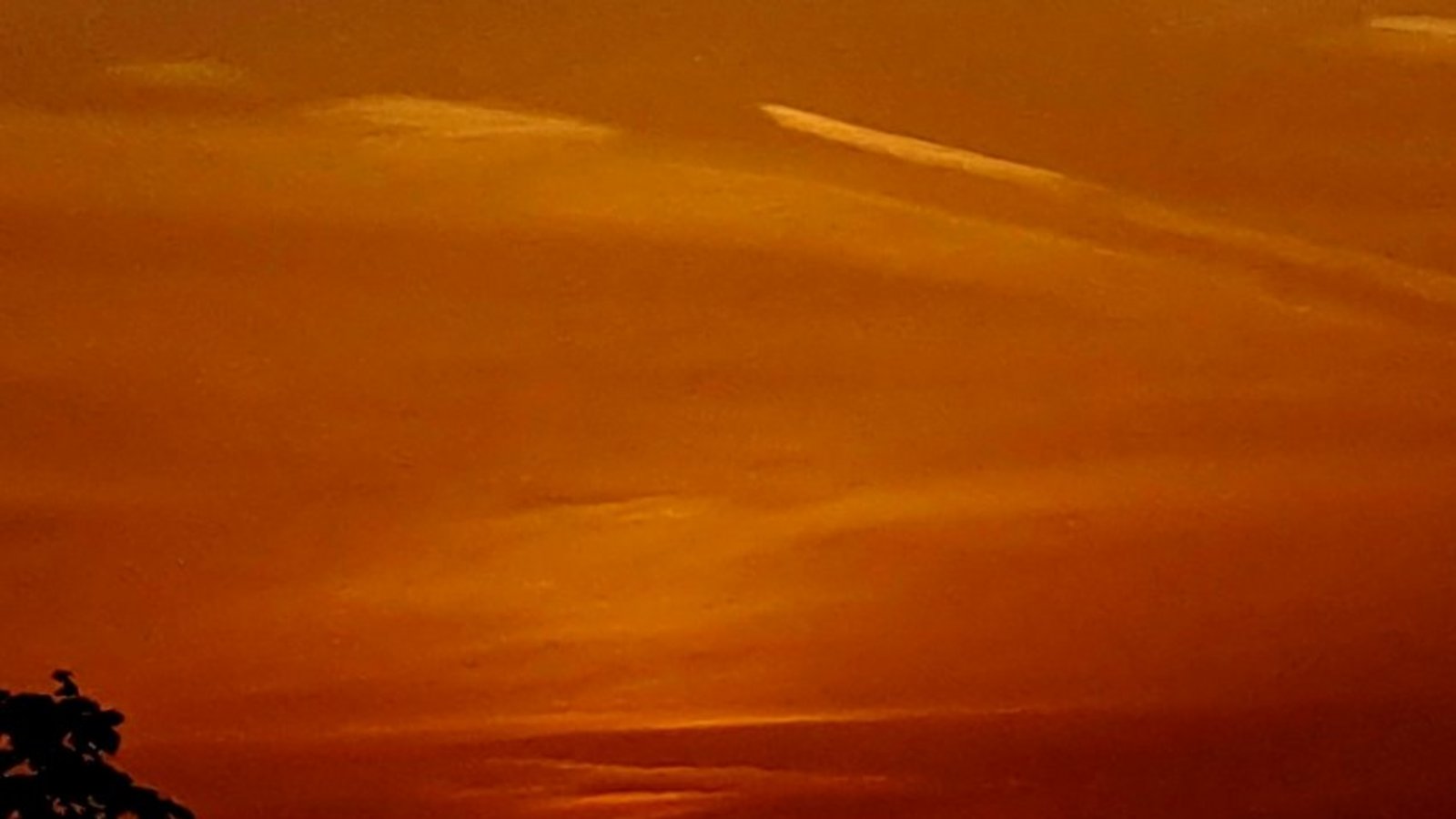 Sonnenuntergang von Ursula Sonntag.