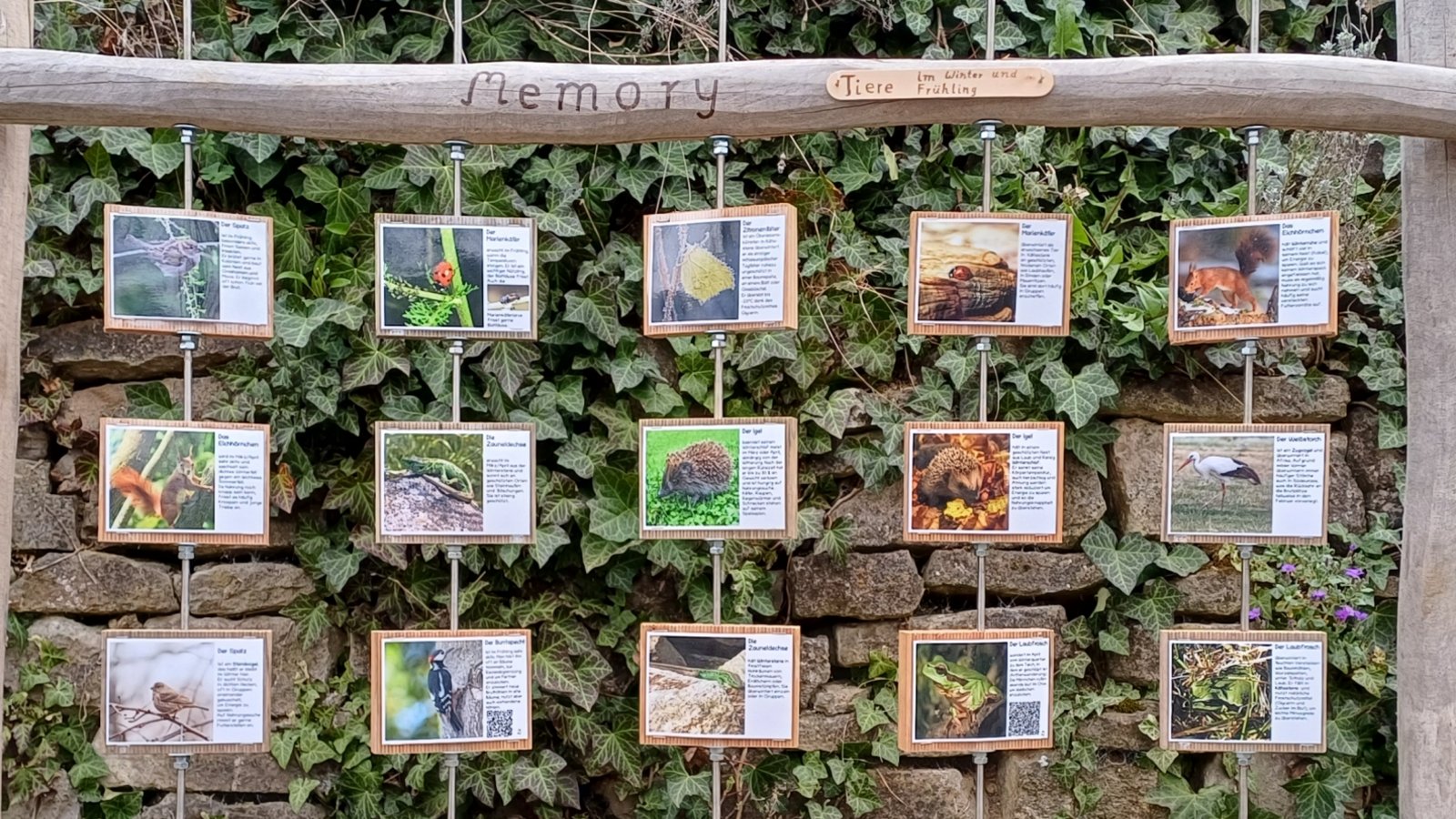 Laut angebrachtem Täfelchen ist dieses Tiermemory die Projektarbeit einer Siebtklässlerin der Waldorfschule. Es kann im oberen Bereich der Auricher Pestalozzistraße vom öffentlichen Weg aus bewundert werden. Foto: Rücker Laut angebrachtem Täfelchen ist dieses Tiermemory die Projektarbeit einer Siebtklässlerin der Waldorfschule. Es kann im oberen Bereich der Auricher Pestalozzistraße vom öffentlichen Weg aus bewundert werden. Foto: Rücker