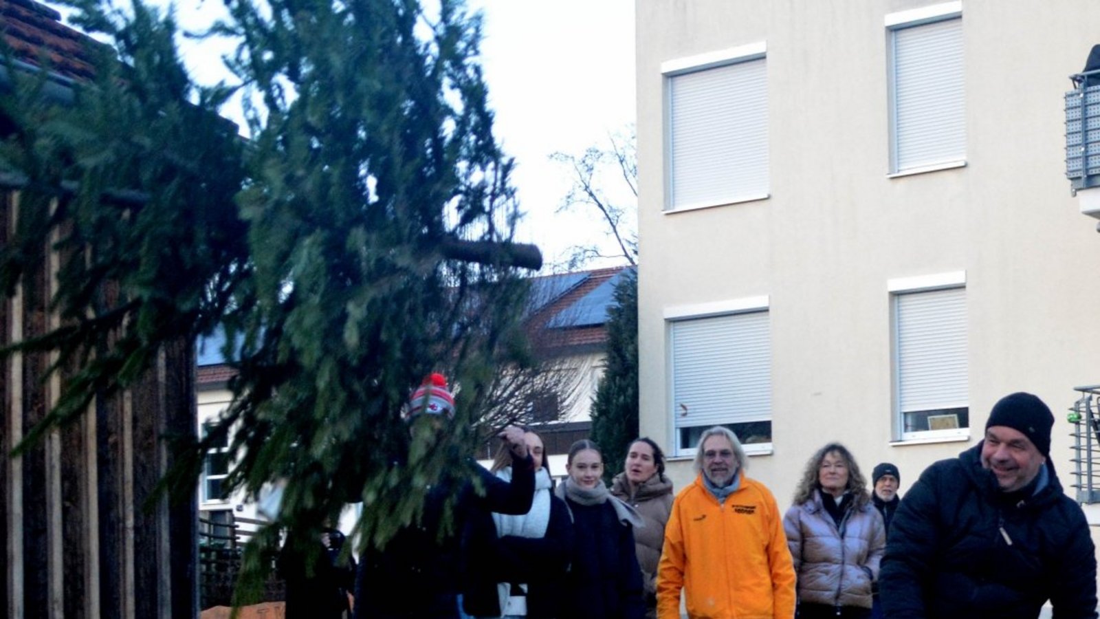 Beim Christbaumweitwurf kommt es auch auf die richtige Technik an. Foto: Stahlfeld Beim Christbaumweitwurf kommt es auch auf die richtige Technik an. Foto: Stahlfeld