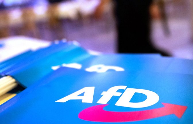 Die AfD befindet sich in einem Umfragehoch. (Symbolbild)<span class='image-autor'>Foto: Daniel Karmann/dpa/Daniel Karmann</span>