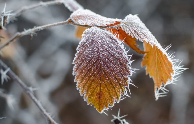 Nächste Woche sinken die Temperaturen wieder.<span class='image-autor'>Foto: Anna Light / shutterstock.com</span>
