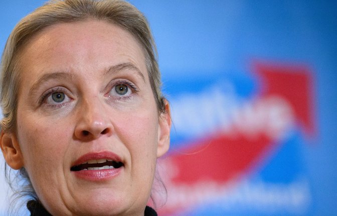 Die AfD hat im laufenden Wahlkampf Spenden in Höhe von insgesamt 4,3 Millionen Euro erhalten.<span class='image-autor'>Foto: dpa/Bernd von Jutrczenka</span>